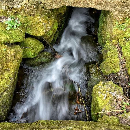 Quinta Do Moinho Turismo De Natureza Aldeia Vicosa Bagian luar foto