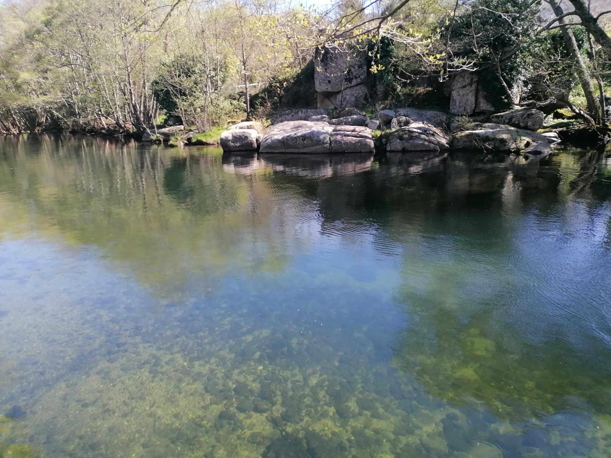 Quinta Do Moinho Turismo De Natureza Aldeia Vicosa Bagian luar foto