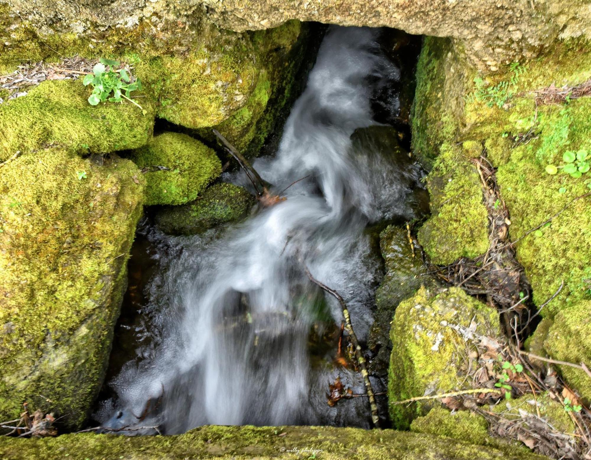 Quinta Do Moinho Turismo De Natureza Aldeia Vicosa Bagian luar foto