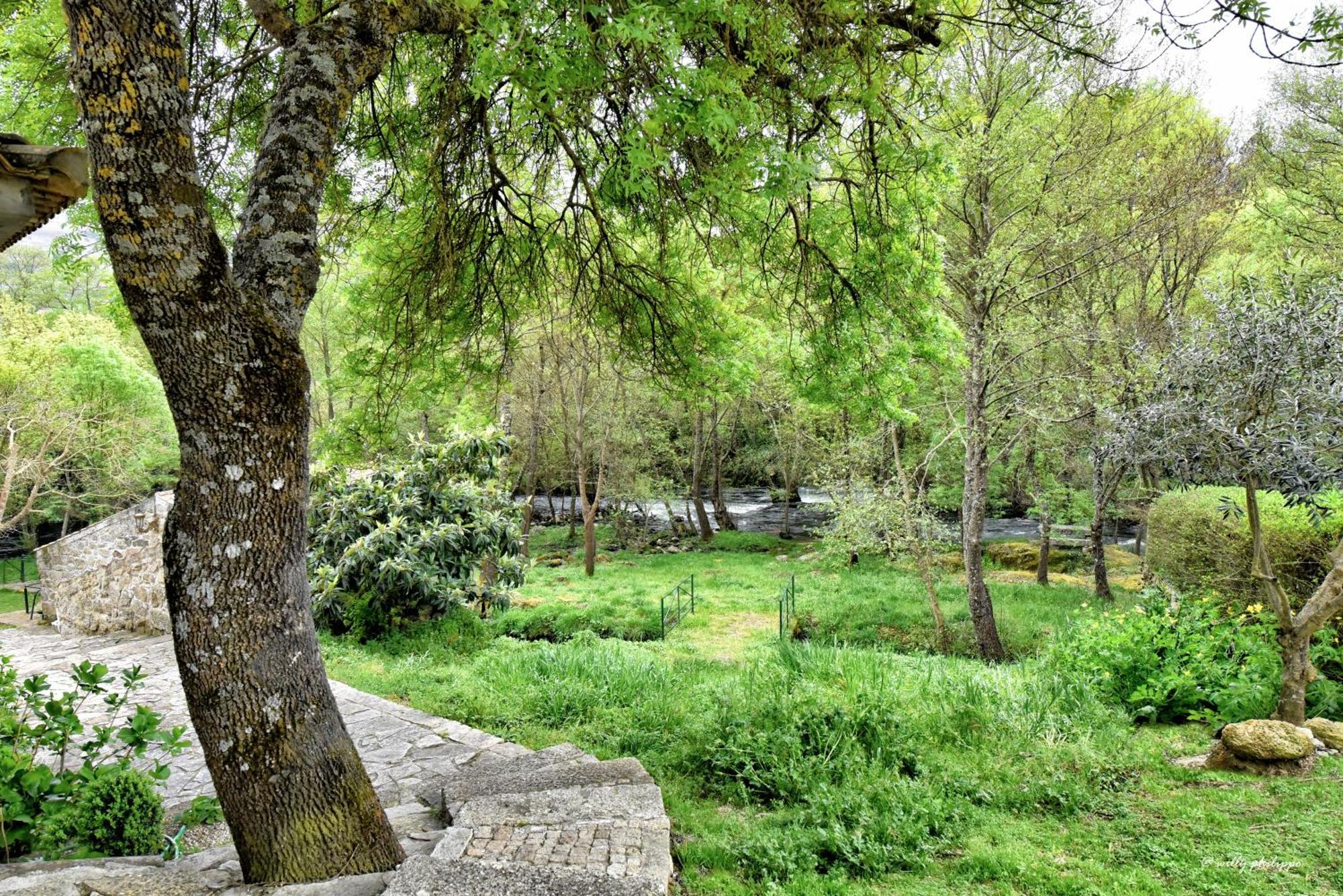 Quinta Do Moinho Turismo De Natureza Aldeia Vicosa Bagian luar foto